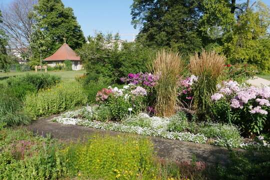 Blumen im Foerster Staudengarten auf der Freundschaftsinsel in Potsdam