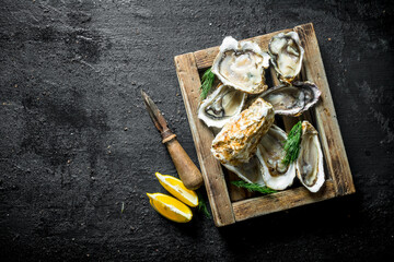 Fresh raw oysters on a wooden tray with lemon slices.