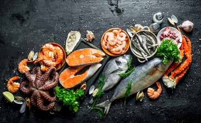 Fresh salmon steak with a variety of seafood and herbs.