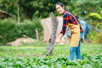 Female Agricultural working in organic vegetable farm