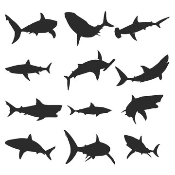 Set of shark animal silhouettes of various styles