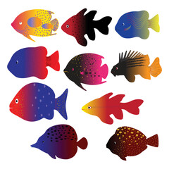 Hand drawn aquarium fish bundle