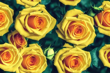 Valentine's Day Roses Seamless Repeating Repeatable Texture Pattern Tiled Tessellation Background Image