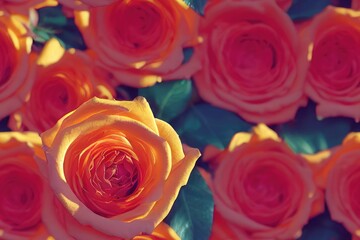 Fototapeta premium Valentine's Day Roses Seamless Repeating Repeatable Texture Pattern Tiled Tessellation Background Image