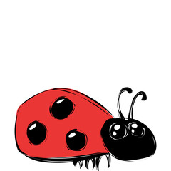 Obraz premium Marienkäfer 