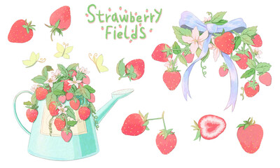 Strawberry Drawing 