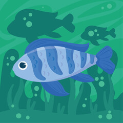 blue fish algae