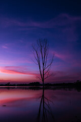 Fototapeta na wymiar Long exposure shot of silhouetted trees reflected in water and over colorful sunset blue and pink sky background,