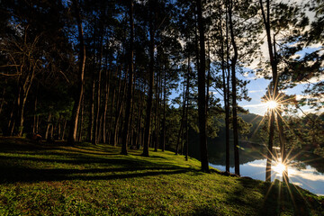 over fair light from the sun and water reflection and shadow of the pine trees in afternoon at the camping area, Pang-Ung  Mae Hong Son, North of Thailand, in the winter season