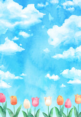 Fototapeta na wymiar 水彩の青空とチューリップ畑のベクターイラスト背景