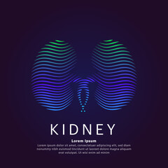 Human kidney medical structure. Creative Vector logo kidney color silhouette on a dark background. Urology vector design - EPS 10