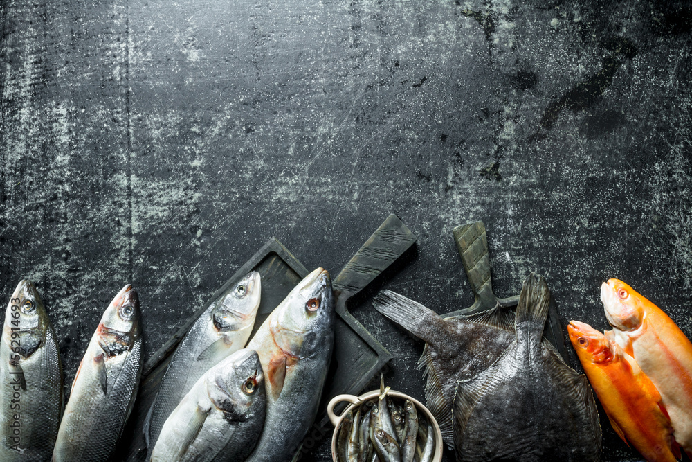 Poster Assortment of various fresh fish.