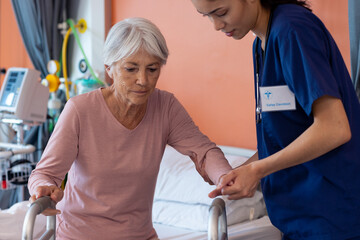 Diverse female doctor helping senior female patient use walking frame, copy space