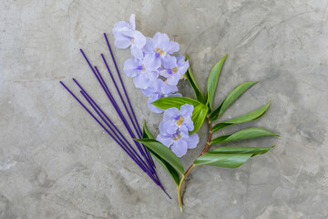 Incense sticks with violet asian flowers on concrete background with shadows top view copy space