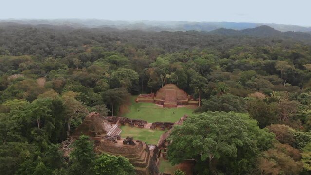 Caracol Mayan Temple in Belize Drone Video Shot, Aerial Footage