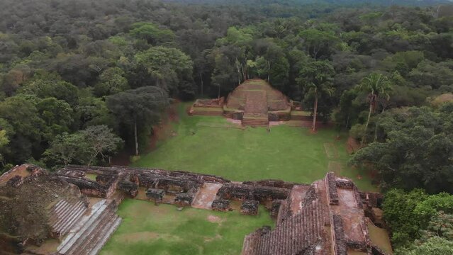 Caracol Mayan Temple in Belize Drone Video Shot, Aerial Footage