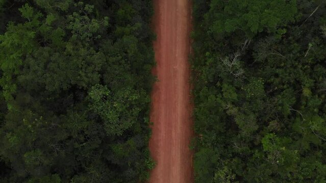 Drone shots of Dirt Road in the Belize Jungle leading to the Mayan Temple of Caracol, Aerial Drone video