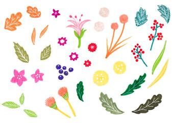 flowers and plants, 식물과 꽃이 있는 일러스트