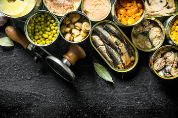 Various canned food in open cans.