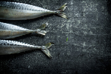 Raw mackerel tail.