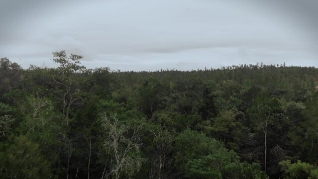 Waterfall in Belize Jungle Drone shot video, (Aerial)