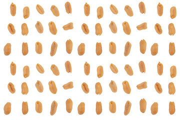 Salted roasted peanuts isolated on white background