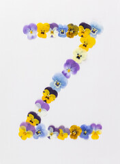 Flower font Alphabet a,b,c,q, r, s, t, made of Real pansy flowers.