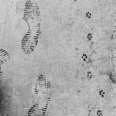 Human and dog footprints in the sand