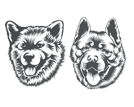 Akita Dog Face illustration, Black and White Dog Face Silhouette 