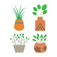 Set of plants in vector. Plants in pots isolated on a white background.