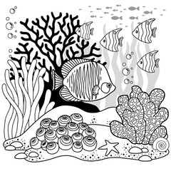 Vector coloring book page for adults. Black and white illustration of underwater life, sea creature, shell, algae and fish