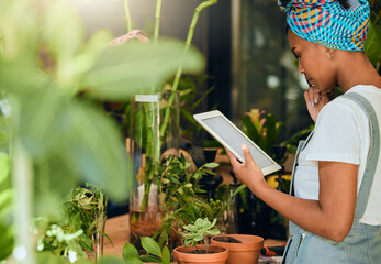 Tablet, small business or black woman working on a digital strategy in store for flowers or plants...
