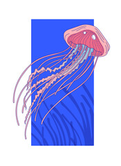 Vector illustration of a jellyfish. Isolated drawing on a white background