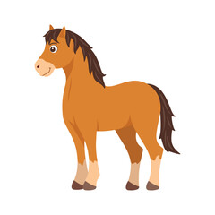 Cute cartoon happy horse animal vector illustration