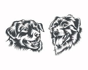 Australian Shepherd Dog Breed face Vector Illustration on White Background for portrait, t-shirt, tattoo