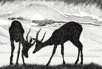 Landscape with pair antelopes against the sunrise. Hand drawn in chinese ink with paper texture. Inkdrawn collection. Bitmap image