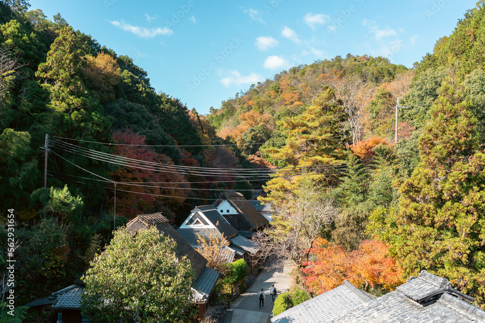 Poster saga toriimoto traditional village at autumn in kyoto, japan