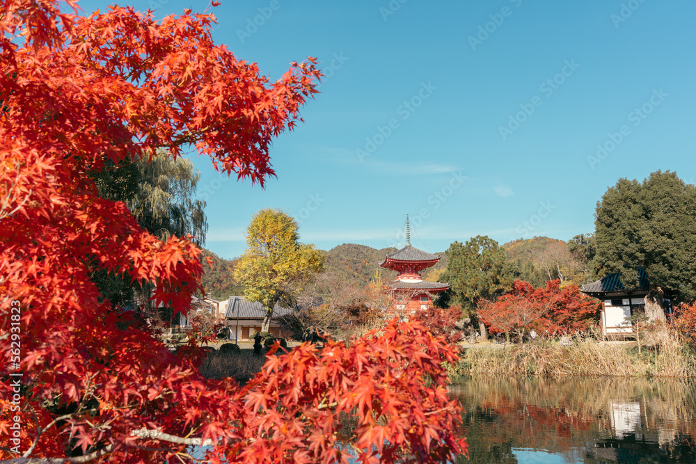 Poster daikaku-ji temple and osawa pond at autumn in kyoto, japan