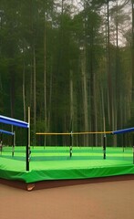 field with net