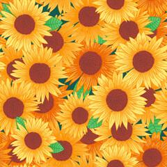 Sunflower field seamless vector pattern for textile fabric design. Vector illustration