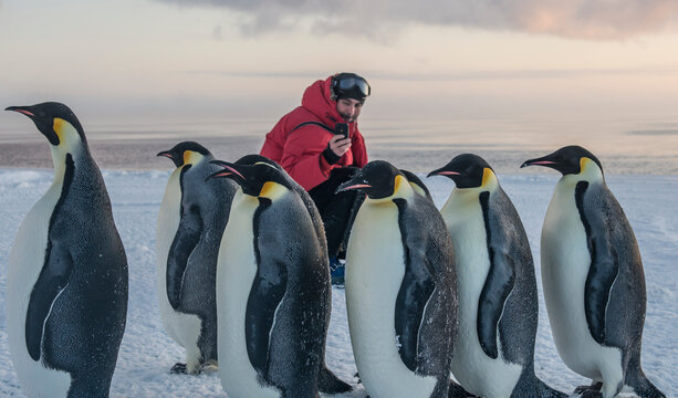 A man takes a picture of penguins near McMurdo Station Antarctica.