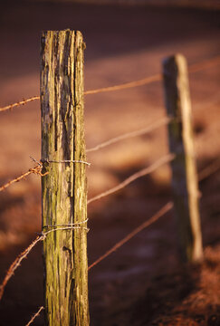 Fence