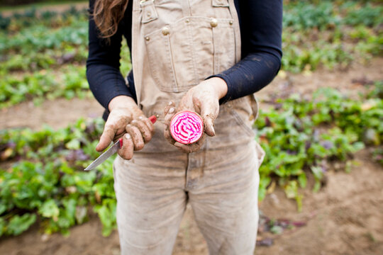 Hand holding knife and candy beet.