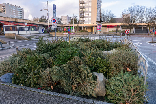 Afin de limiter les dépôts sauvages, la Métropole Rouen Normandie a mis en place début janvier, des zones de collecte des sapins de Noël
