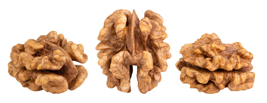 Levitation of walnut kernel isolated on transparent background.