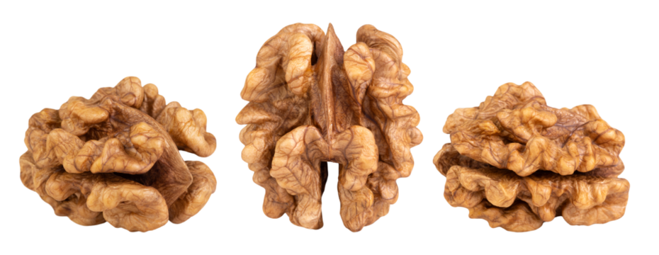 Levitation of walnut kernel isolated on transparent background.