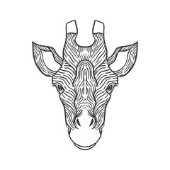 giraffe head line art illustration