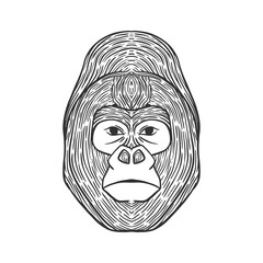 Gorilla head line art illustration