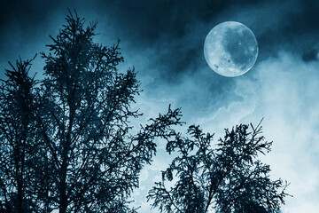 A large full moon over the trees at night.