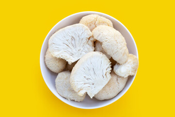 Fresh  lion's mane mushroom on yellow background.